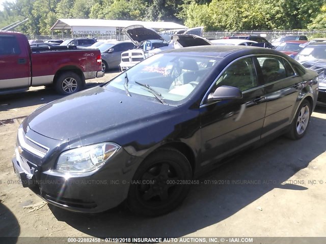 1G1ZB5E13BF308238 - 2011 CHEVROLET MALIBU LS BLACK photo 2