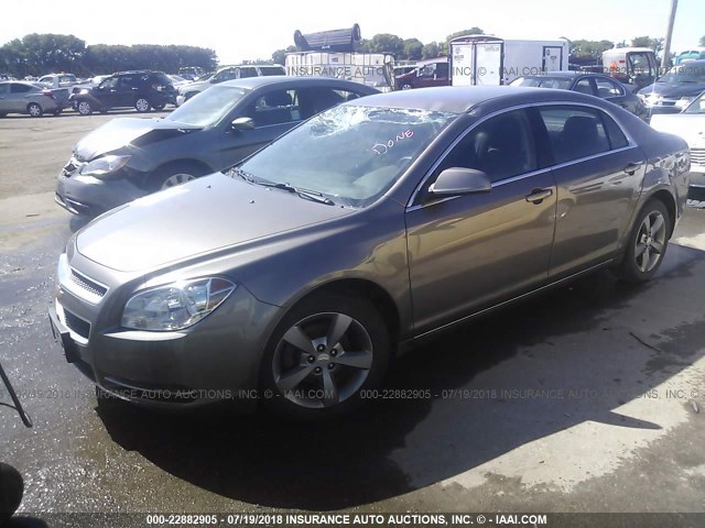 1G1ZC5E16BF393153 - 2011 CHEVROLET MALIBU 1LT 棕色 照片 2