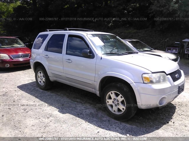 1FMYU94156KD09776 - 2006 FORD ESCAPE LIMITED SILVER photo 1