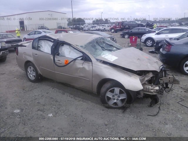 1G1ZT54885F202531 - 2005 CHEVROLET MALIBU LS Алтын фото 1