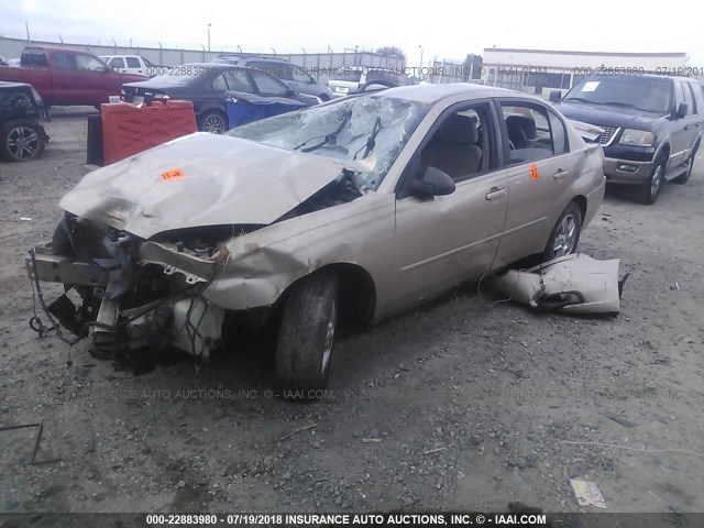 1G1ZT54885F202531 - 2005 CHEVROLET MALIBU LS Алтын фото 2