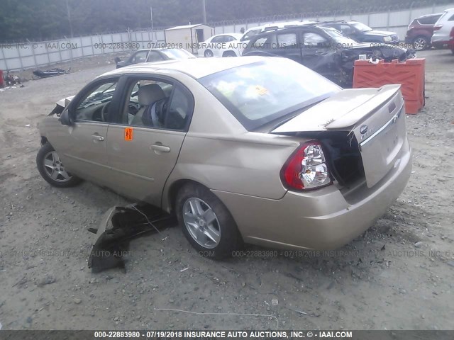 1G1ZT54885F202531 - 2005 CHEVROLET MALIBU LS Алтын фото 3