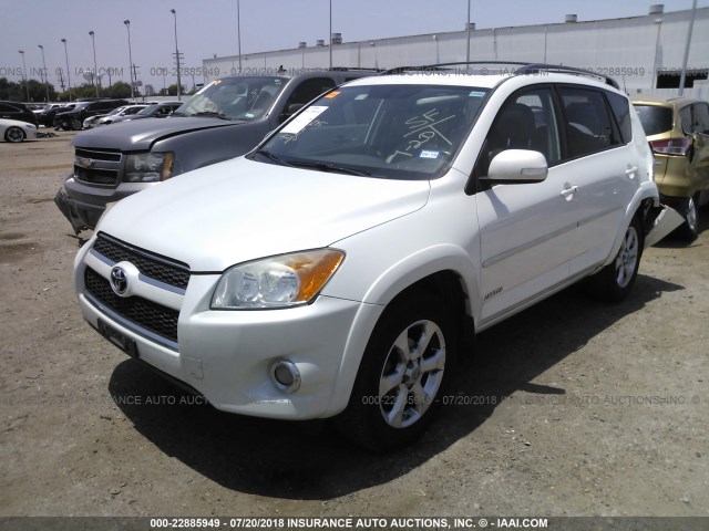 2T3YF4DV1AW031995 - 2010 TOYOTA RAV4 LIMITED WHITE photo 2