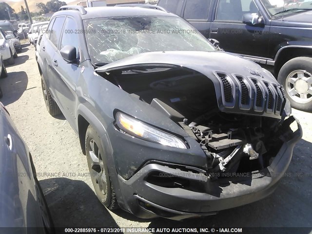 1C4PJMBS0HW588041 - 2017 JEEP CHEROKEE TRAILHAWK GRAY photo 1