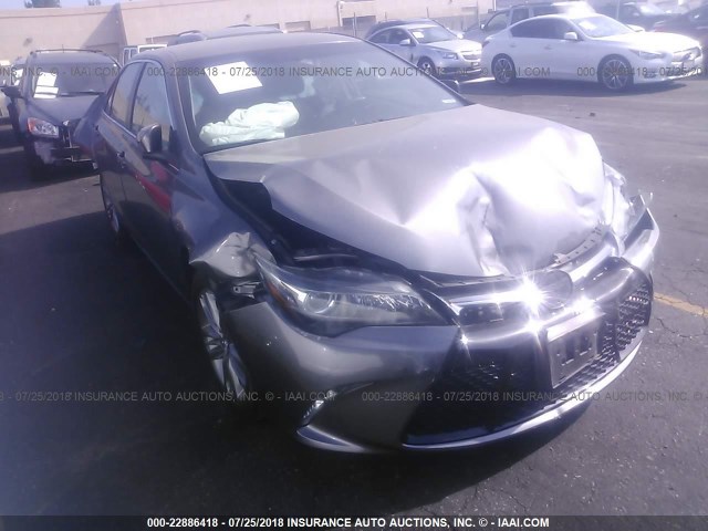 4T1BF1FK9HU741012 - 2017 TOYOTA CAMRY LE/XLE/SE/XSE GRAY photo 1
