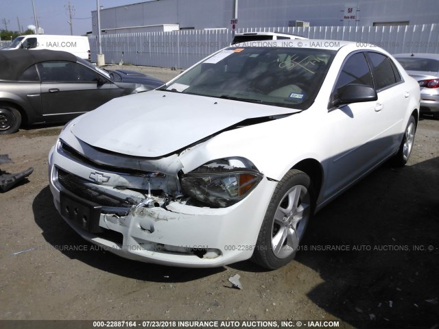1G1ZA5EU2BF180765 - 2011 CHEVROLET MALIBU LS თეთრი ფოტო 2