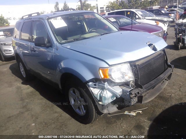 1FMCU49349KB02162 - 2009 FORD ESCAPE HYBRID BLUE photo 1