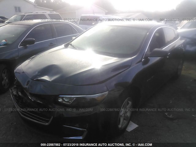 1G1ZC5ST2GF285920 - 2016 CHEVROLET MALIBU LS BLUE photo 2