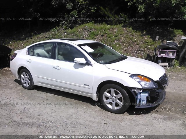 1N4CL21E29C157833 - 2009 NISSAN ALTIMA HYBRID WHITE photo 1