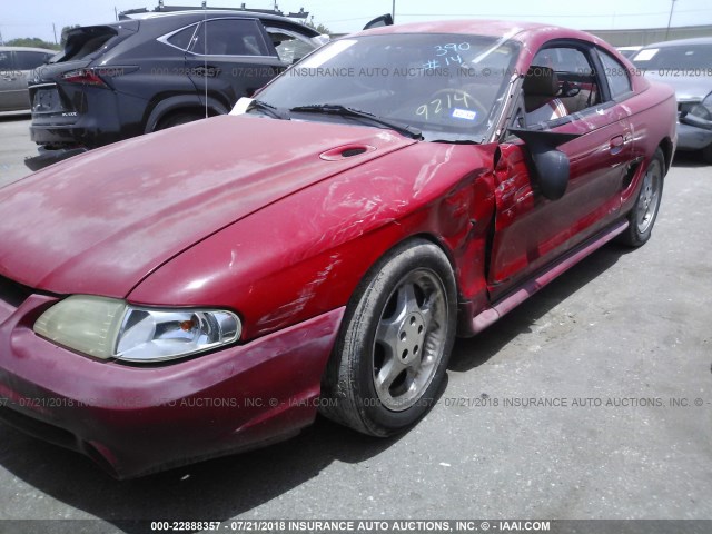 1FALP42D2SF209214 - 1995 FORD MUSTANG COBRA SVT RED photo 6