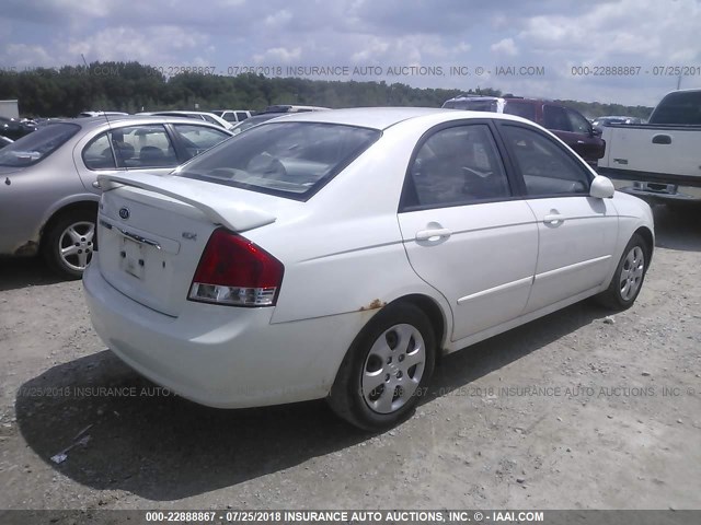 KNAFE121185506925 - 2008 KIA SPECTRA EX/LX/SX WHITE photo 4