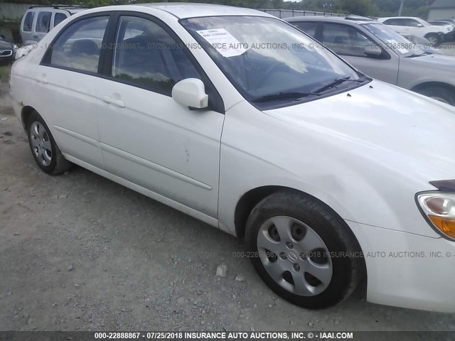 KNAFE121185506925 - 2008 KIA SPECTRA EX/LX/SX WHITE photo 6