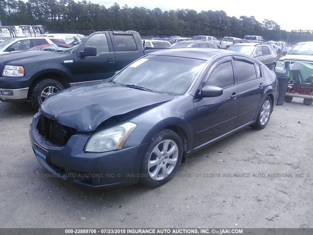 1N4BA41EX7C831561 - 2007 NISSAN MAXIMA SE/SL GRAY photo 2