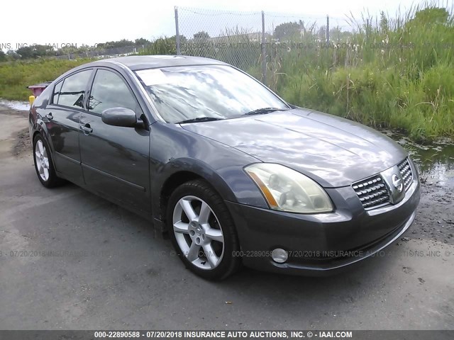 1N4BA41E36C850127 - 2006 NISSAN MAXIMA SE/SL GRAY photo 1