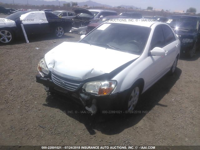 KNAFE121085525076 - 2008 KIA SPECTRA EX/LX/SX WHITE photo 2