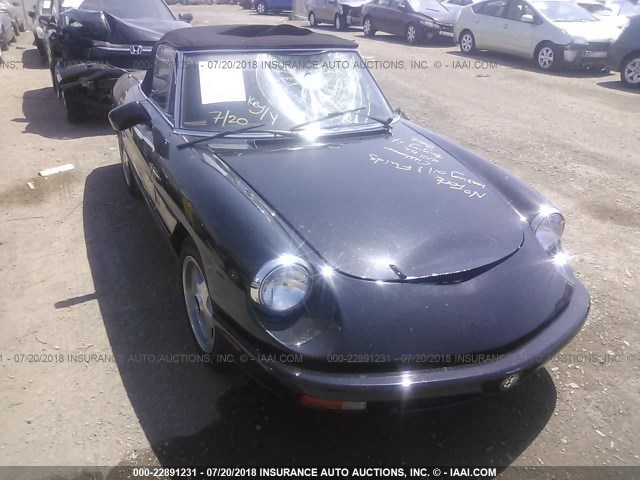 ZARBB42G2M6008288 - 1991 ALFA ROMEO SPIDER BLACK photo 1