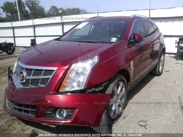 3GYFNBEY6AS556713 - 2010 CADILLAC SRX PERFORMANCE COLLECTION Марун фото 2