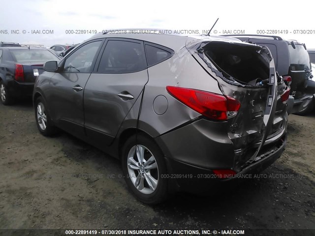 KM8JU3AC1AU114582 - 2010 HYUNDAI TUCSON GLS/LIMITED BROWN photo 3