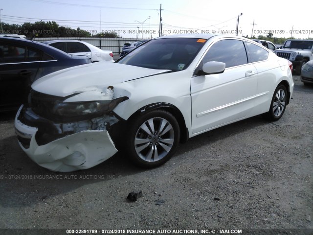 1HGCS1B30BA000776 - 2011 HONDA Accord LX-S WHITE photo 2