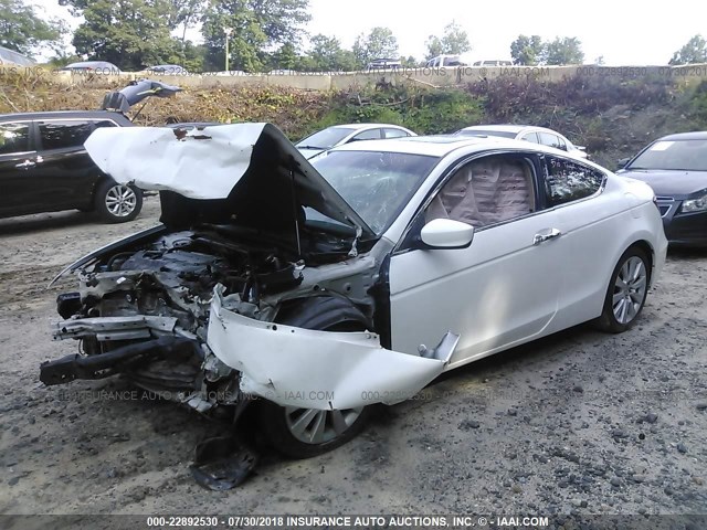 1HGCS22879A011527 - 2009 HONDA ACCORD EXL WHITE photo 2