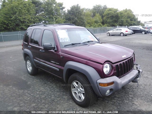 1J4GL48K53W555363 - 2003 JEEP LIBERTY SPORT/FREEDOM ბურგუნდია ფოტო 1