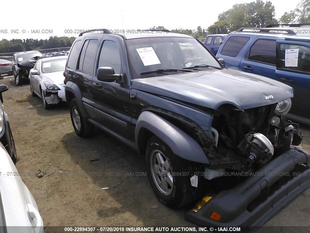 1J4GL48K25W508925 - 2005 JEEP LIBERTY SPORT GREEN photo 1