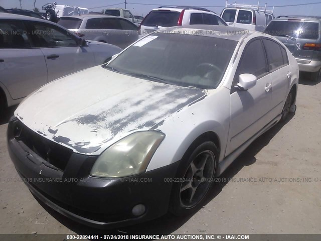 1N4BA41E94C921411 - 2004 NISSAN MAXIMA SE/SL WHITE photo 2