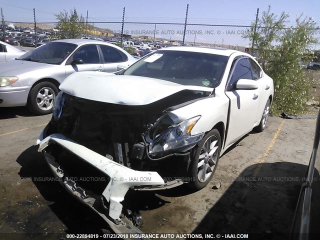 1N4AA5AP3EC488866 - 2014 NISSAN MAXIMA S/SV CREAM photo 2