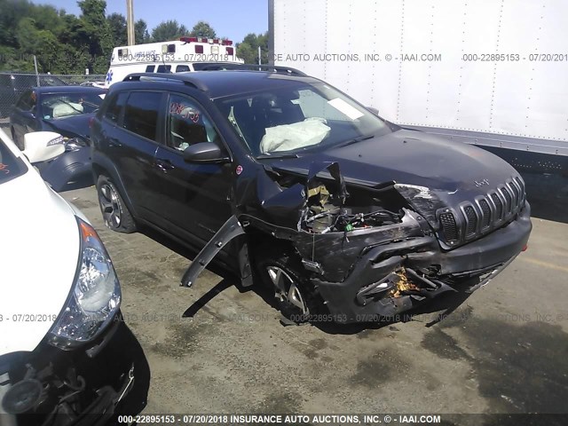 1C4PJMBS3GW254665 - 2016 JEEP CHEROKEE TRAILHAWK 灰色 照片 1
