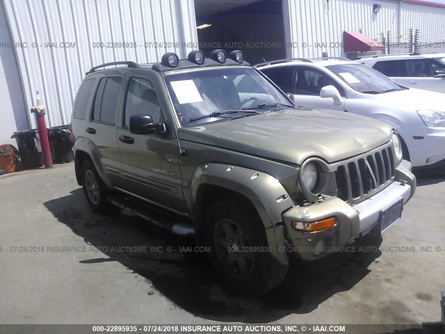 1J4GL38K72W332377 - 2002 JEEP LIBERTY RENEGADE GREEN photo 1