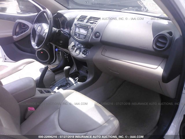 JTMZD31V085085458 - 2008 TOYOTA RAV4 LIMITED WHITE photo 5