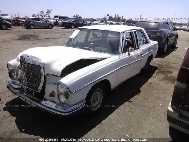 10801212031338 - 1967 MERCEDES-BENZ 250 WHITE photo 2