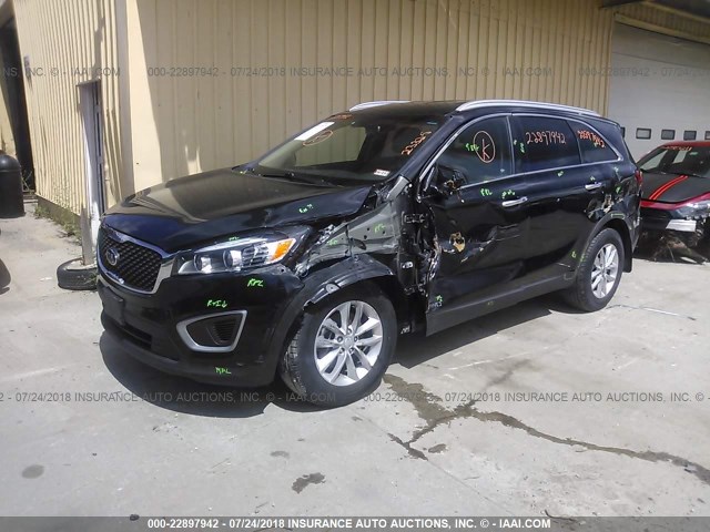 5XYPGDA3XHG329045 - 2017 KIA SORENTO LX/L BLACK photo 2