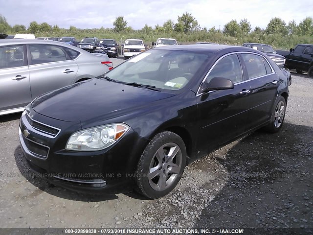 1G1ZG57B69F110951 - 2009 CHEVROLET MALIBU LS BLACK photo 2