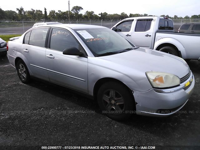1G1ZT54825F211791 - 2005 CHEVROLET MALIBU LS ვერცხლისფერი ფოტო 1