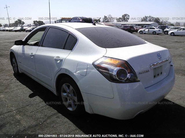 1N4CL21E49C165478 - 2009 NISSAN ALTIMA HYBRID WHITE photo 3