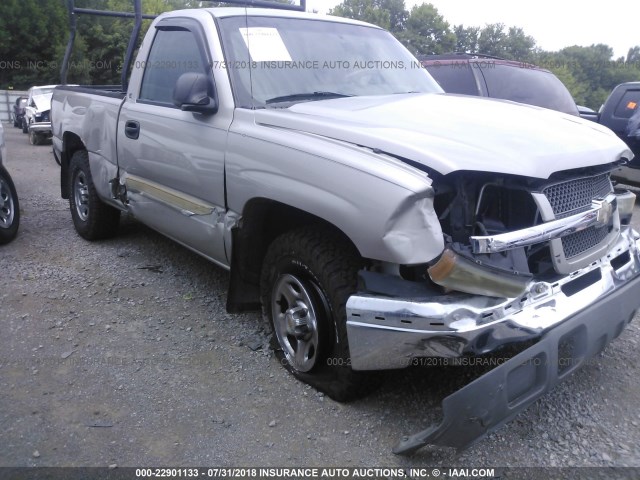 1GCEK14T84Z290466 - 2004 CHEVROLET SILVERADO K1500 TAN photo 6