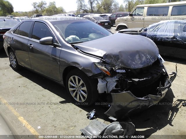 4T1BF1FK0HU357989 - 2017 TOYOTA CAMRY LE/XLE/SE/XSE GRAY photo 1