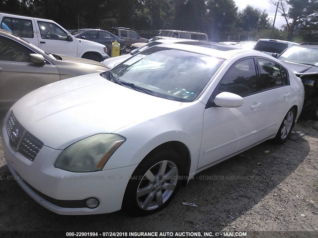 1N4BA41E86C834683 - 2006 NISSAN MAXIMA SE/SL WHITE photo 2