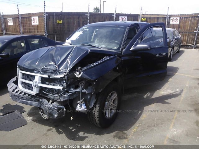 1D7RW3GK3BS522763 - 2011 DODGE DAKOTA SLT BLACK photo 2