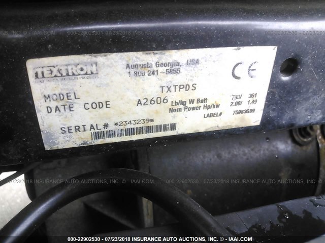 2343239 - 2006 EASY GO TRITON 999999999  TAN photo 9