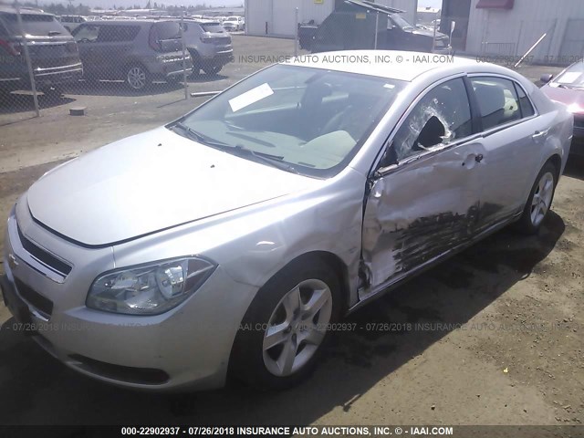 1G1ZB5EB0AF113561 - 2010 CHEVROLET MALIBU LS SILVER photo 2