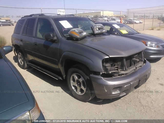 1GNDT13S162259080 - 2006 CHEVROLET TRAILBLAZER LS/LT GRAY photo 1