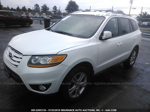 5XYZH4AG0BG031037 - 2011 HYUNDAI SANTA FE SE WHITE photo 2