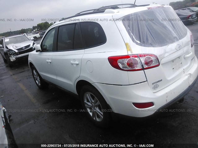 5XYZH4AG0BG031037 - 2011 HYUNDAI SANTA FE SE WHITE photo 3