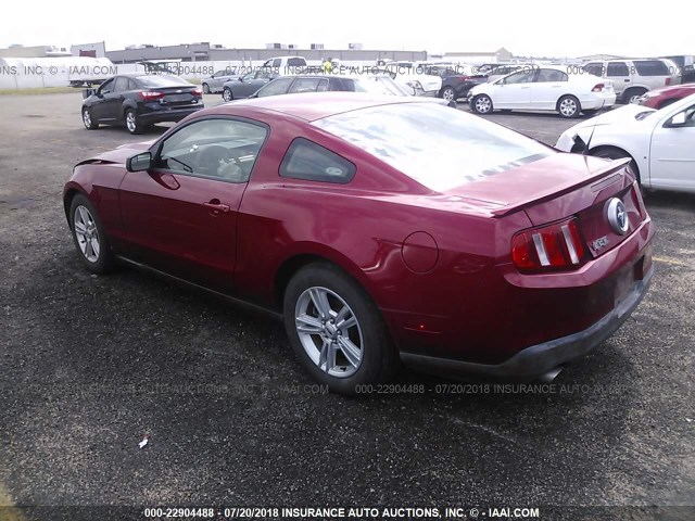 1ZVBP8AM7B5141865 - 2011 FORD MUSTANG RED photo 3