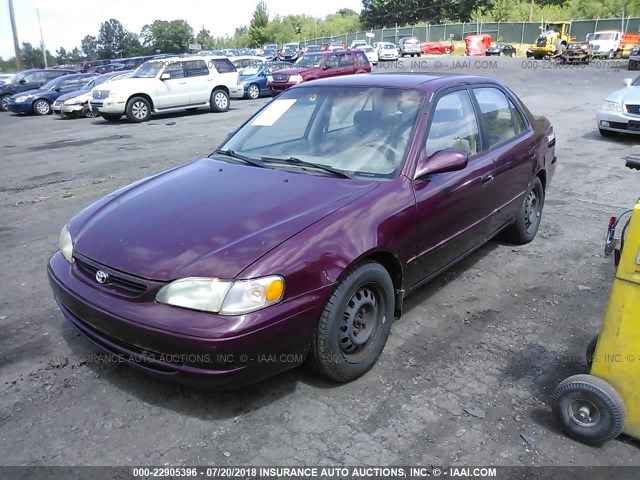 2T1BR18E2WC054192 - 1998 TOYOTA COROLLA VE/CE/LE 勃艮第红 照片 2