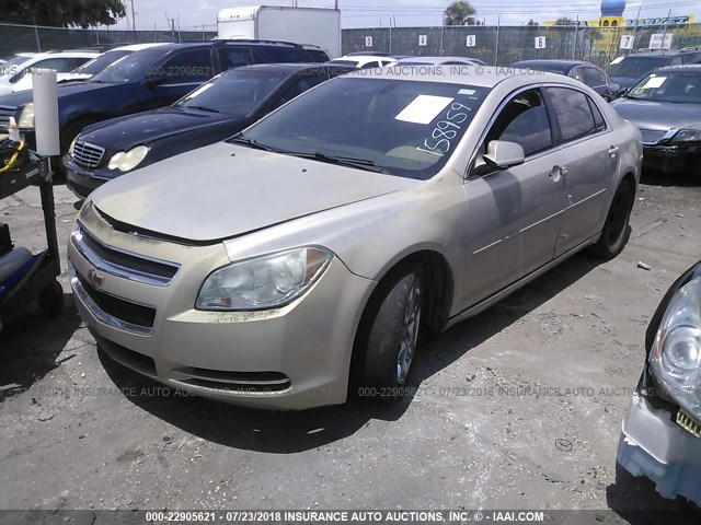 1G1ZC5E07AF158959 - 2010 CHEVROLET MALIBU 1LT Champagne photo 2