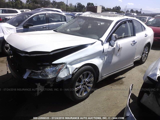 JTHBK1EG4A2356969 - 2010 LEXUS ES 350 WHITE photo 2