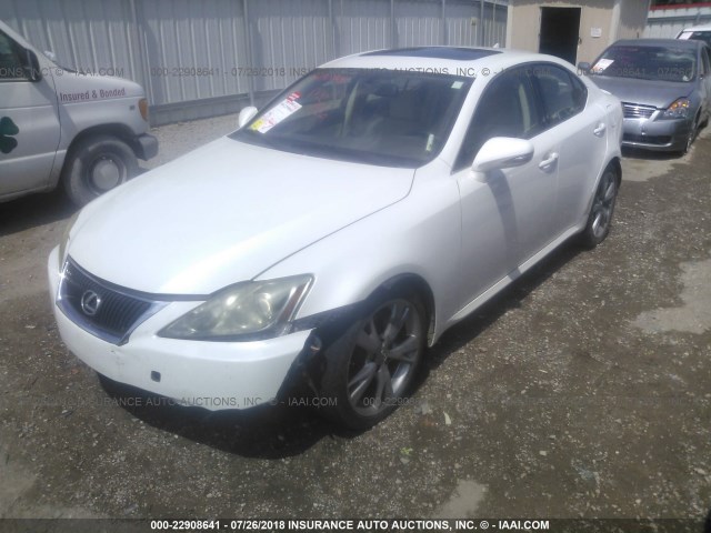 JTHBK262395092615 - 2009 LEXUS IS 250 WHITE photo 2